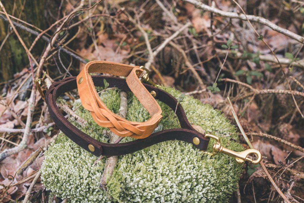 Kurzführer mit Handschlaufe